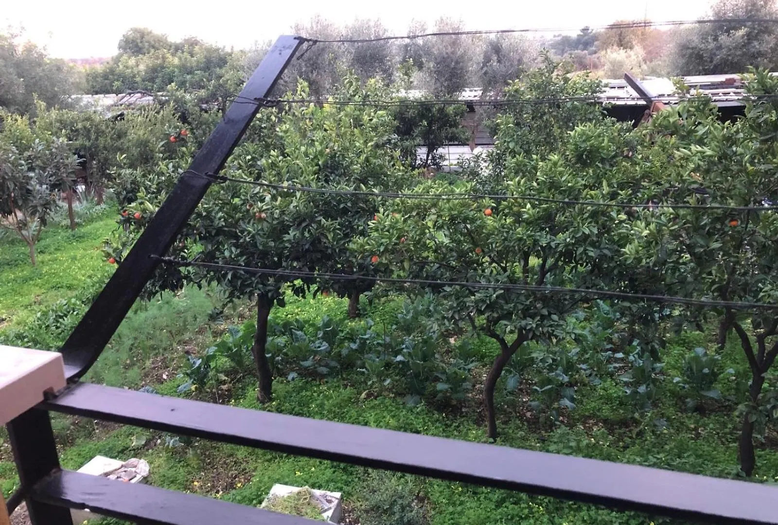 B&B Verdeoliva Modugno Bed & Breakfast