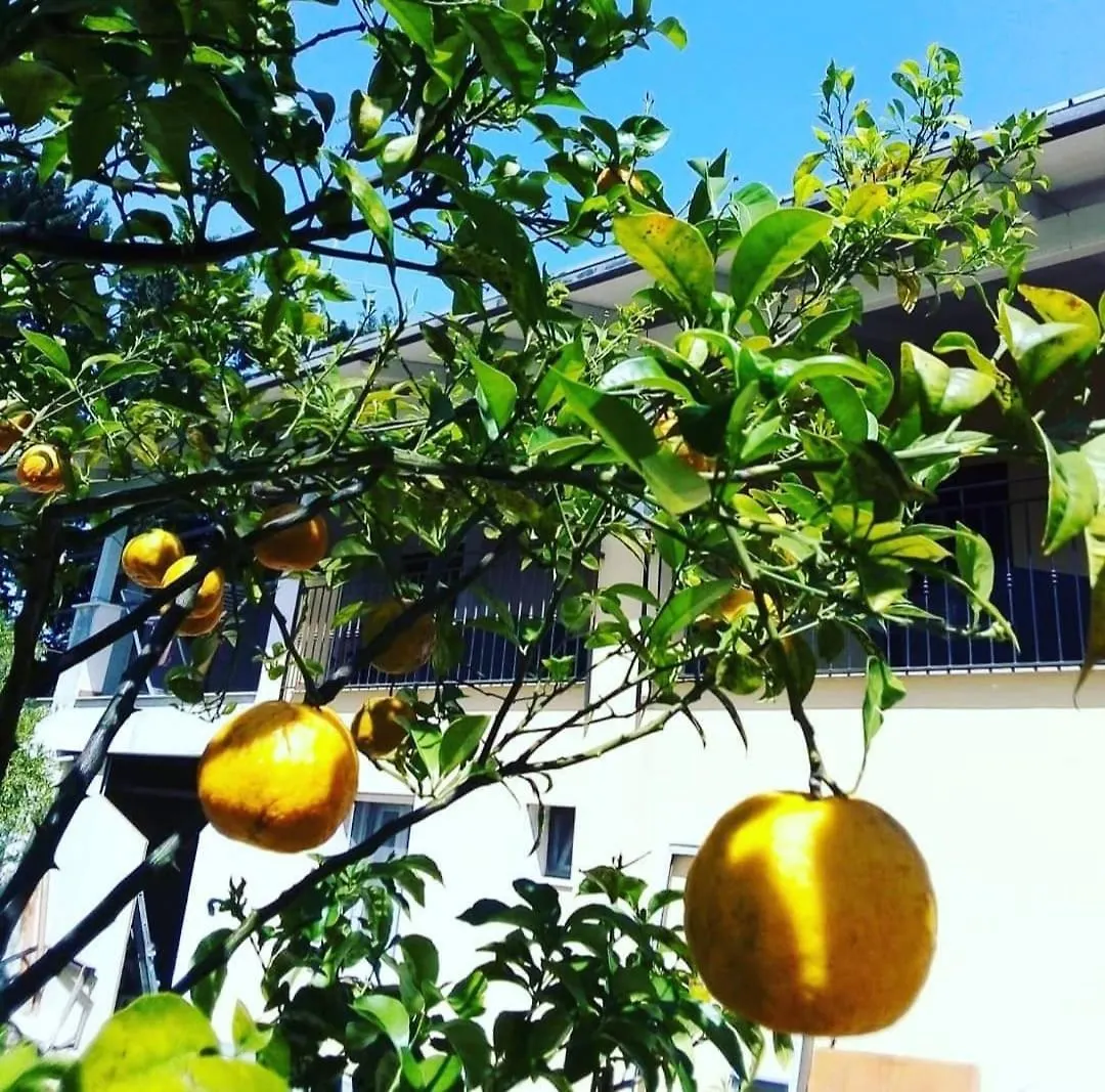 Bed & Breakfast B&B Verdeoliva Modugno