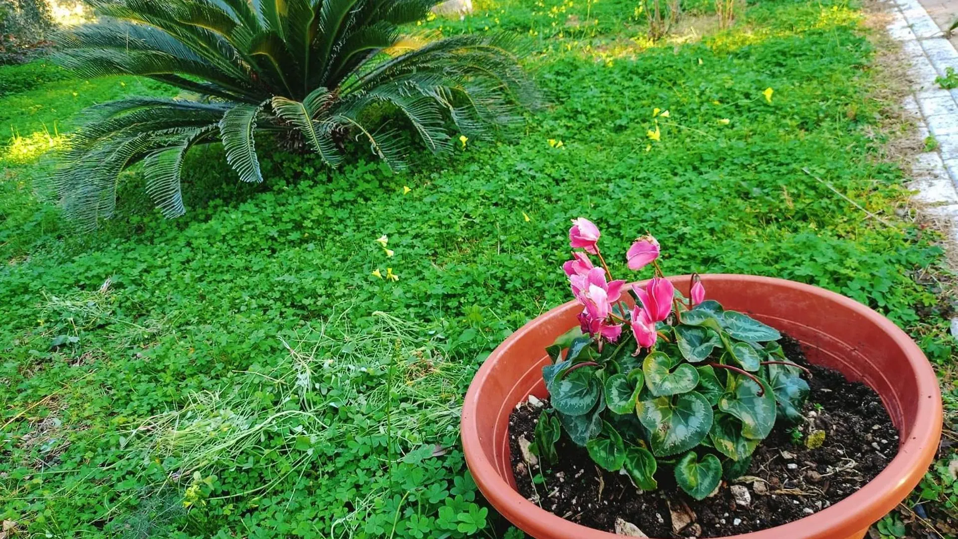 Bed & Breakfast B&B Verdeoliva Modugno